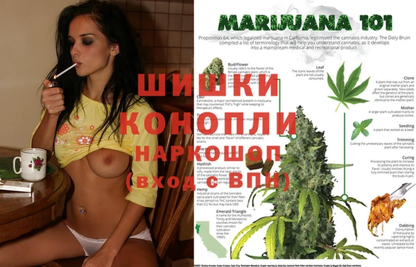 спайс Инсар