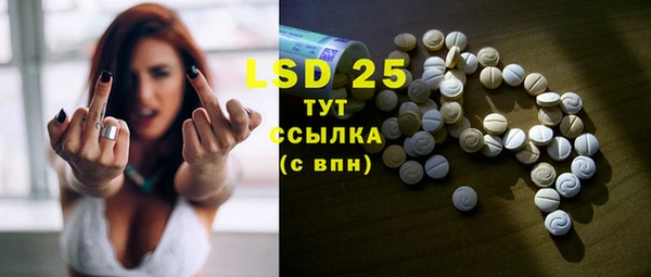 стафф Иннополис