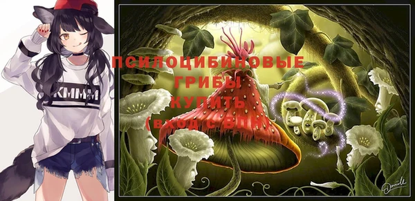 стафф Иннополис