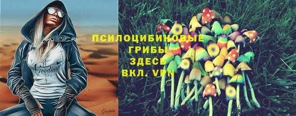 спайс Инсар