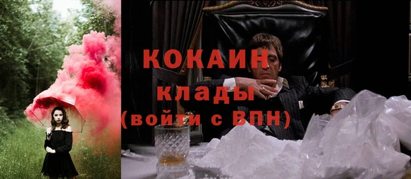 стафф Иннополис