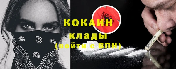 стафф Иннополис
