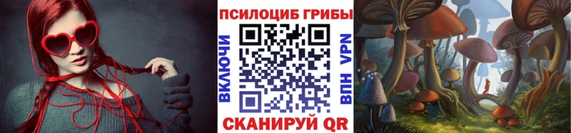Купить  Калининск  Галлюциногенные грибы Psilocybe 