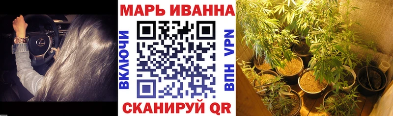 Конопля MAZAR  Купить закладки  Калининск 